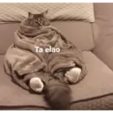 ស្ទីកเกอร์