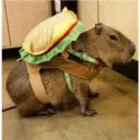 Կպչուն պիտակ