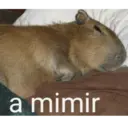 Կպչուն պիտակ