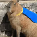 Կպչուն պիտակ