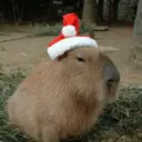 Կպչուն պիտակ