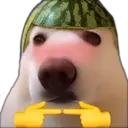 ස්ටිකර්