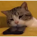 ස්ටිකර්