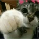 ස්ටිකර්