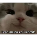 ස්ටිකර්