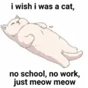 ස්ටිකර්