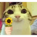 ස්ටිකර්