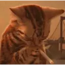 ස්ටිකර්