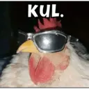 Կպչուն պիտակ