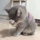 ස්ටිකර්