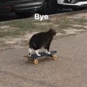 ස්ටිකර්