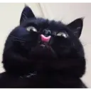 ස්ටිකර්