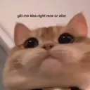 ස්ටිකර්