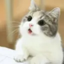 ස්ටිකර්