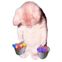 สติกเกอร์