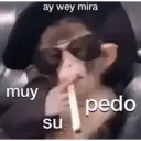 Կպչուն պիտակ