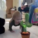 স্টিকার