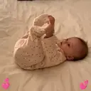 স্টিকার