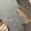 స్టికర్