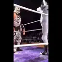 స్టికర్