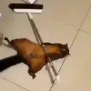 స్టికర్