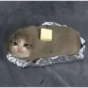 Կպչուն պիտակ