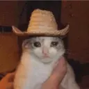 Կպչուն պիտակ