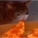 Կպչուն պիտակ