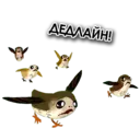 ស្ទីកเกอร์