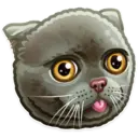 ស្ទីកเกอร์