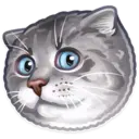 ស្ទីកเกอร์