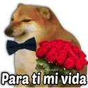 Կպչուն պիտակ