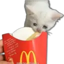 Կպչուն պիտակ