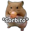 Կպչուն պիտակ