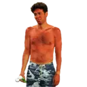 স্টিকার