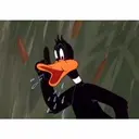 Կպչուն պիտակ