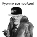 Стикер