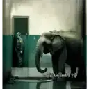 স্টিকার