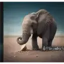 স্টিকার