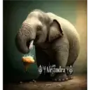 স্টিকার