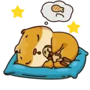 Կպչուն պիտակ