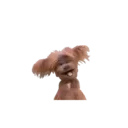 สติกเกอร์