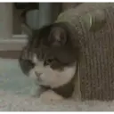 สติกเกอร์