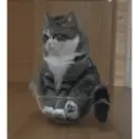 สติกเกอร์