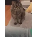 สติกเกอร์