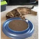 สติกเกอร์