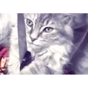 สติกเกอร์