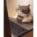 สติกเกอร์