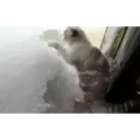 สติกเกอร์