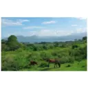 ස්ටිකර්